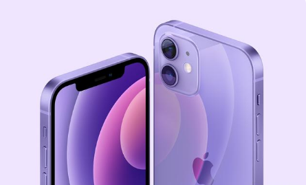 安陆苹果手机维修分享紫色版iPhone 12有什么技术亮点 
