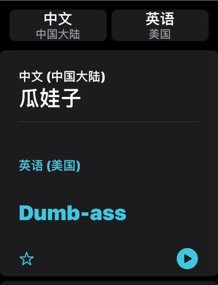 安陆苹果手机维修分享iOS14的“翻译太懂了”怎么用 