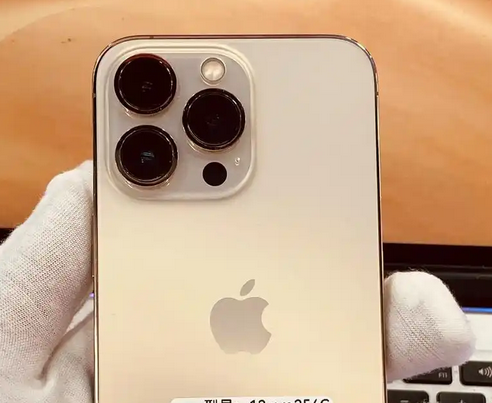 安陆苹果13维修中心分享如何在iPhone13上设置动态壁纸